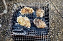 Oyster's broiling on the beach 2