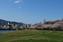 Riverside in Honkawa River